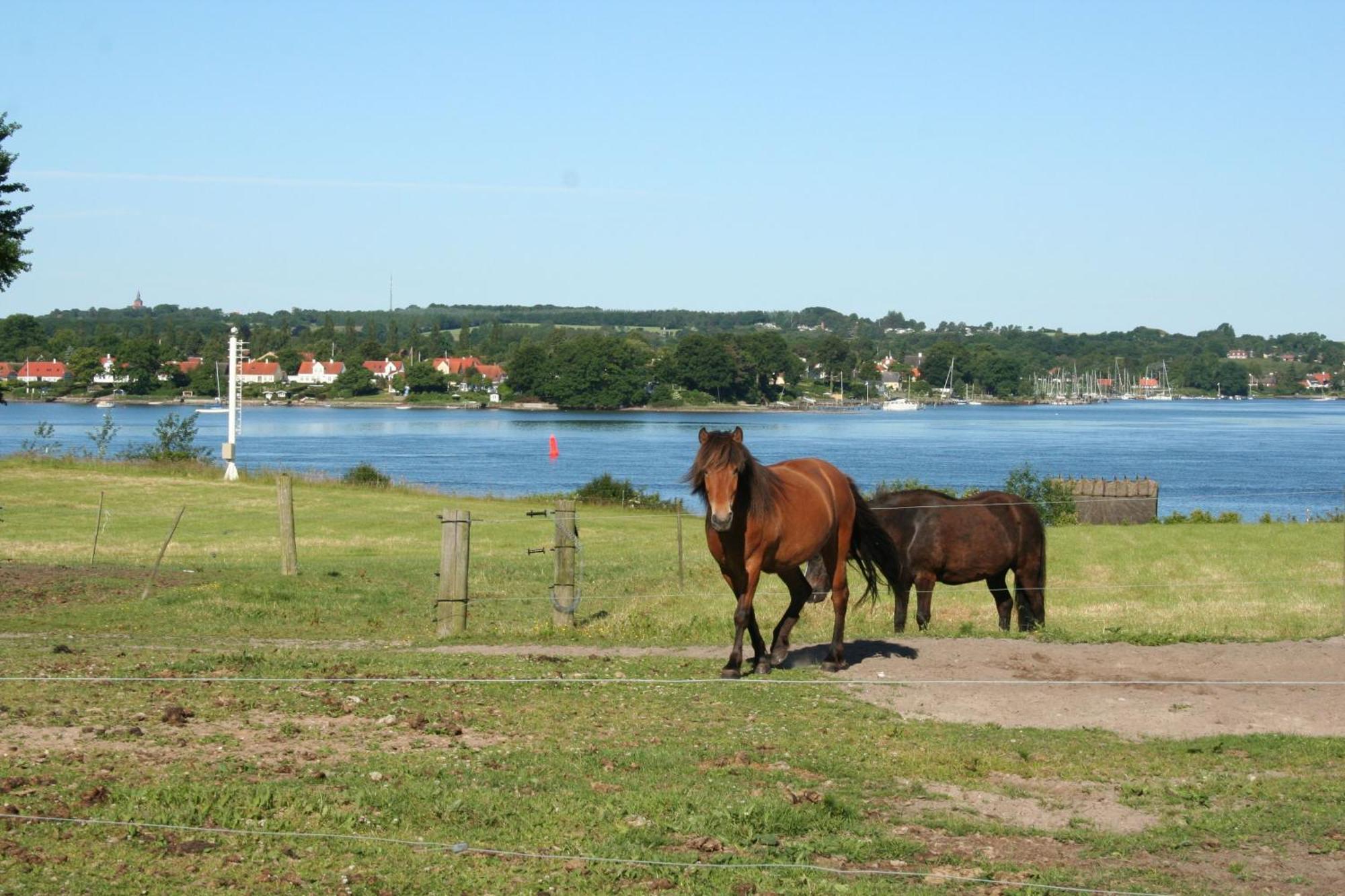 Grastenhus Guesthouse Thurø By Екстериор снимка