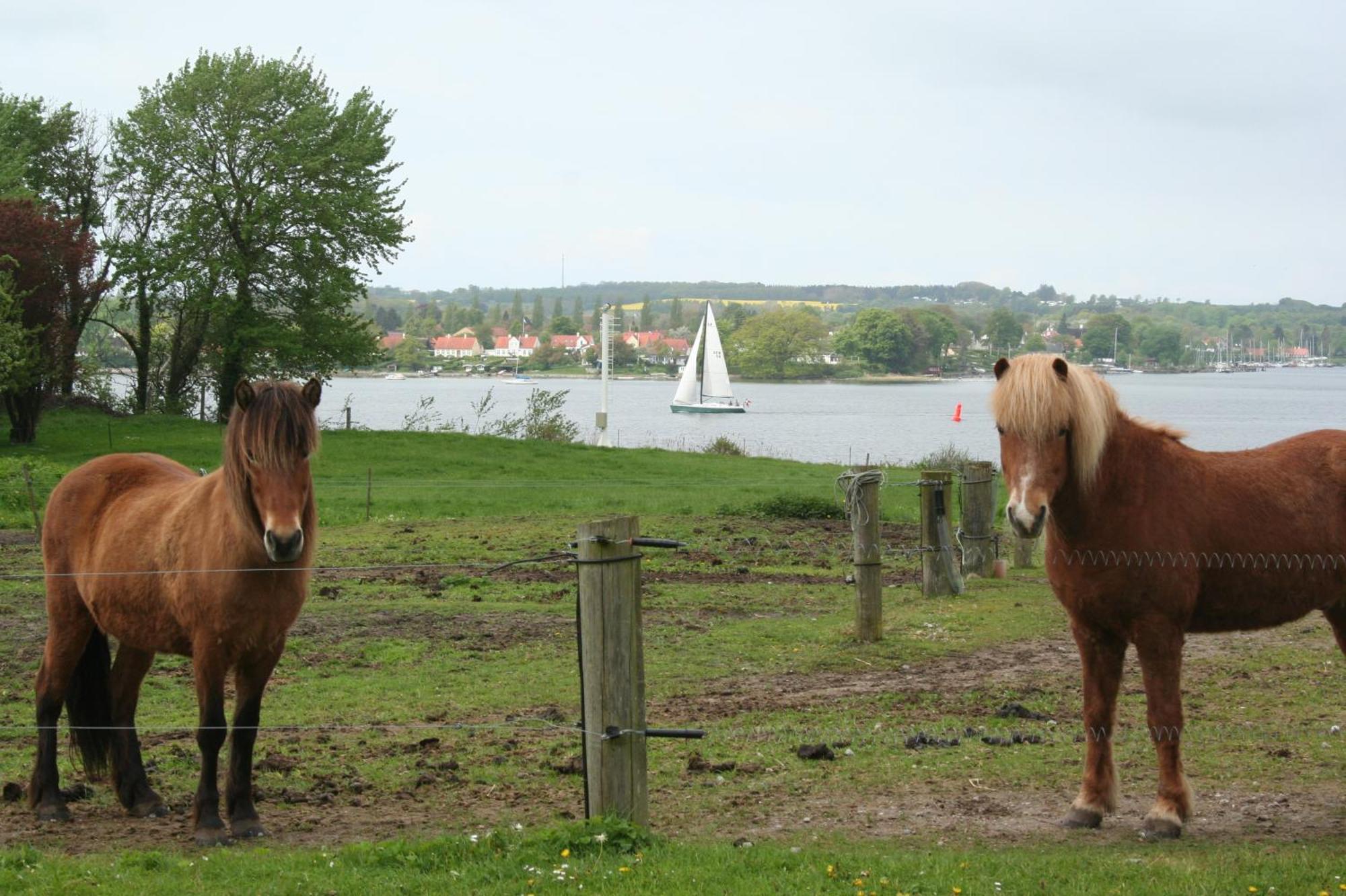 Grastenhus Guesthouse Thurø By Екстериор снимка